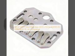 مجموعة صمام لوحة Bitzer S4BCF (58.0)-LP(6.5)، 304069-08، 818601B لضاغط هواء التيار المتردد