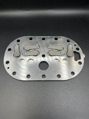 صفيحة صمام ضاغط من الفولاذ المقاوم للصدأ مع مقيد ضغط عملية الصب و المنظم للتطبيقات الصناعية