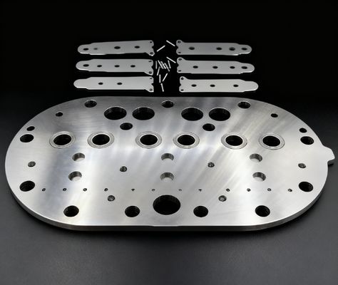 15P مجموعة صمام ضاغط كوبلاند للتبريد وشرائح صمام للفريزر المستخدم في التخزين البارد