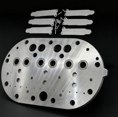 15P مجموعة صمام ضاغط كوبلاند للتبريد وشرائح صمام للفريزر المستخدم في التخزين البارد