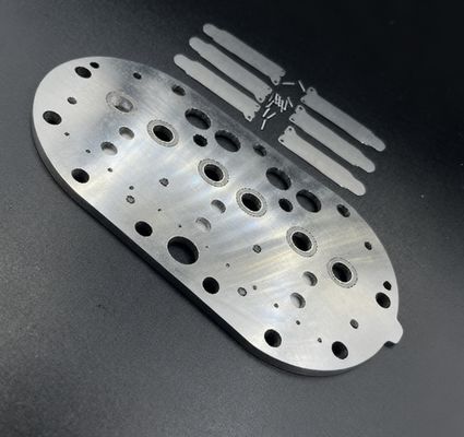 15P مجموعة صمام ضاغط كوبلاند للتبريد وشرائح صمام للفريزر المستخدم في التخزين البارد